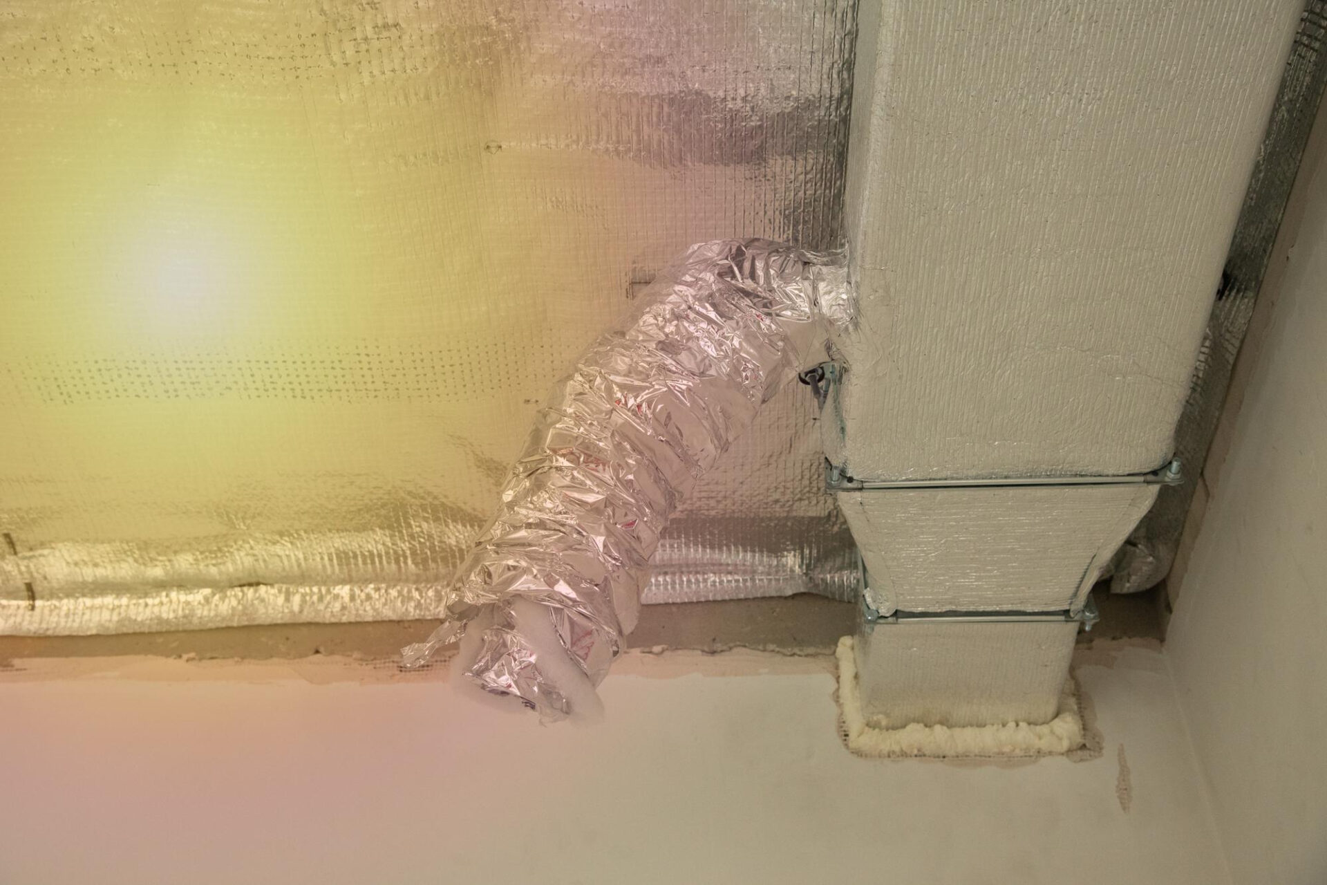 HVAC mold